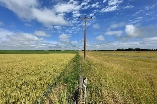 阿根廷畜牧渔业饲料销售迎来中国合作伙伴，数十年来首次重大突破