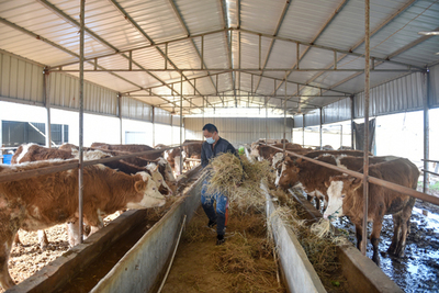 宿松先锋网 畜牧渔业饲料销售的发展现状与未来趋势